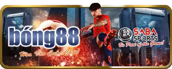 Tổng quan Chương Trình VIP ysb66